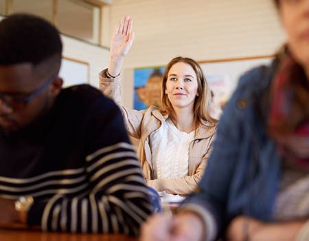 Student support and query agent